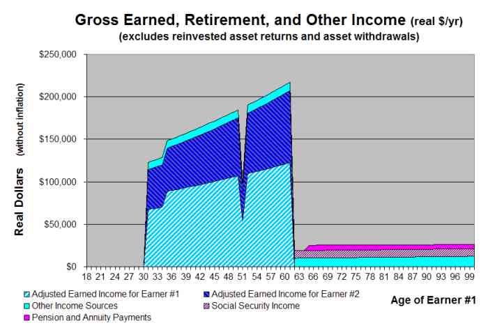 Lifetime Income Projection