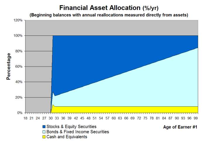 VeriPlan Lifetime Asset Allocation Projection Graphic