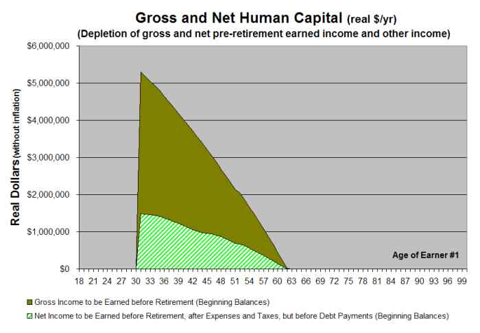 Human Capital Measurement